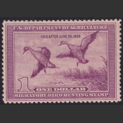 Picture of Lot #55092