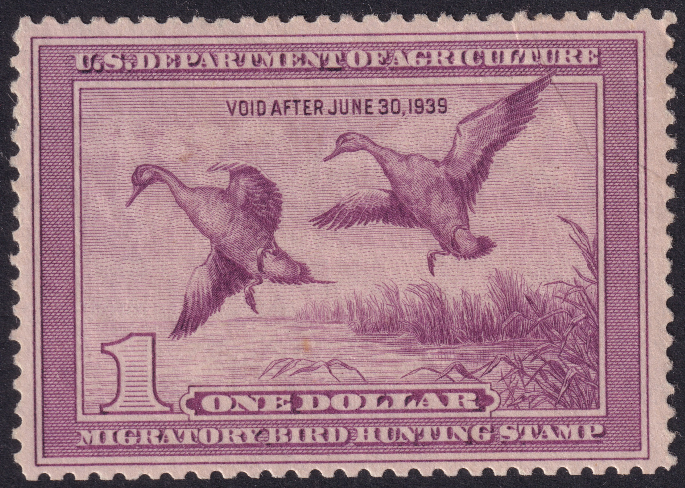 Stamp Picture