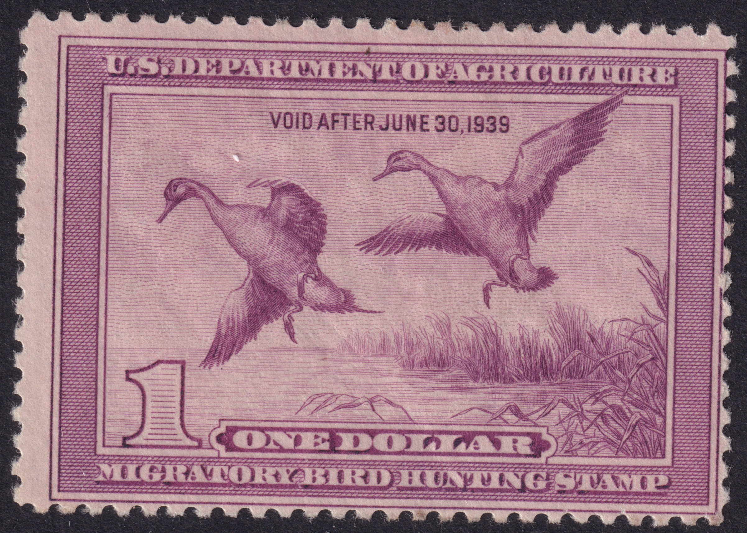 Stamp Picture