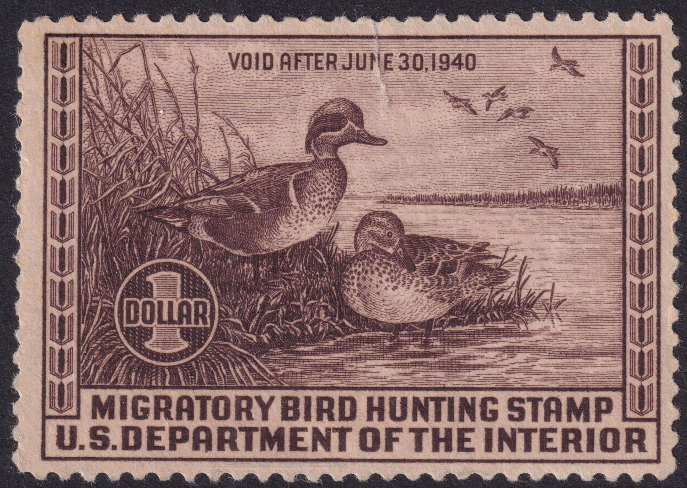 Stamp Picture