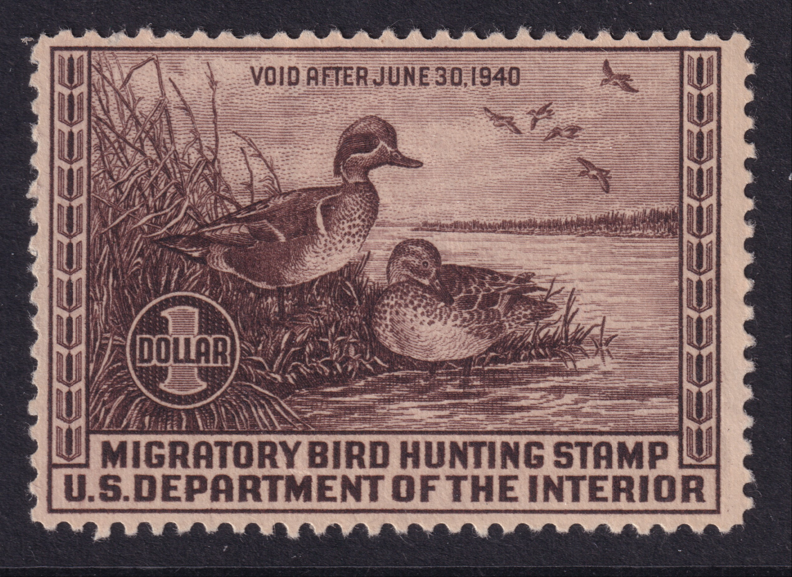 Stamp Picture