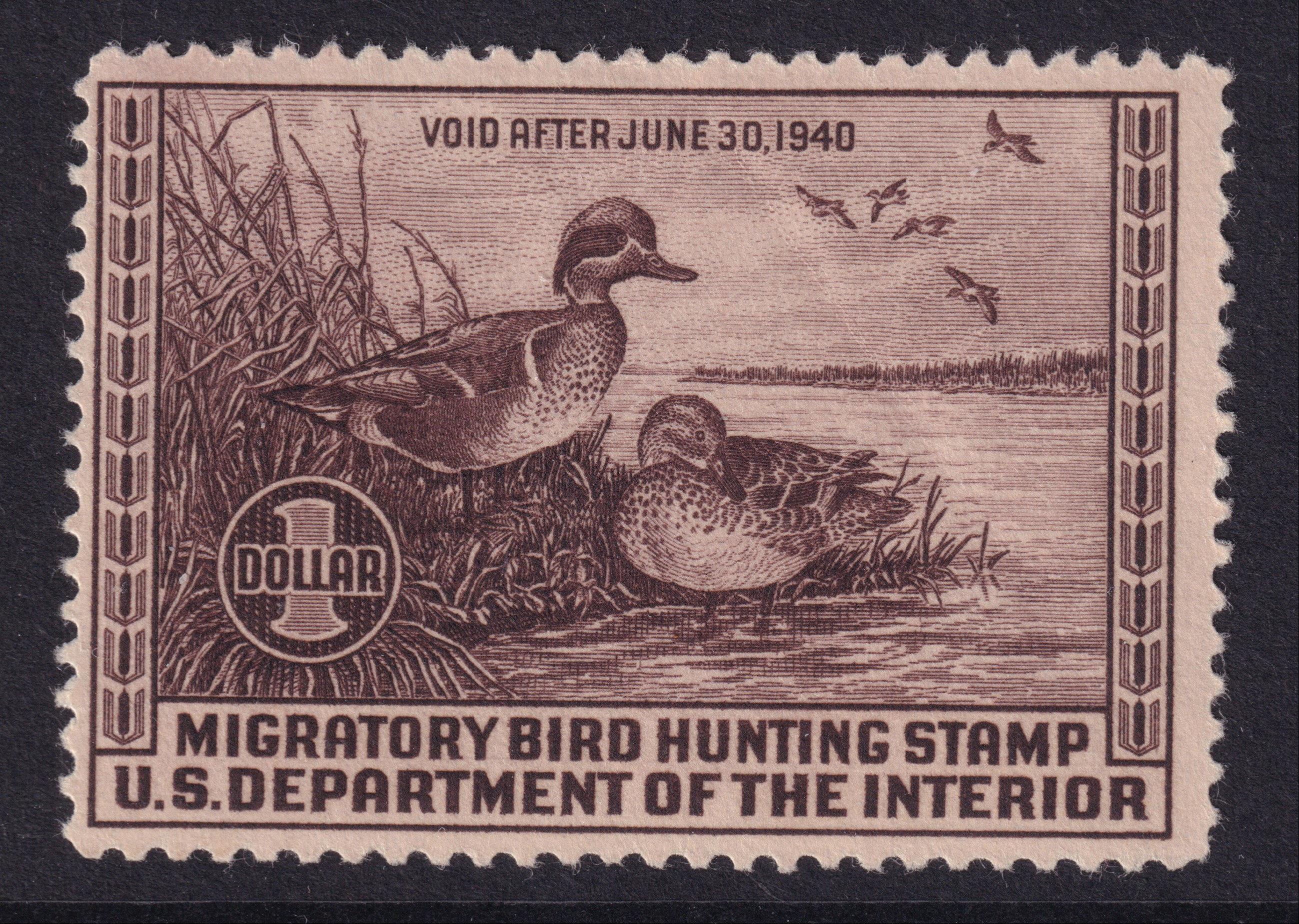 Stamp Picture