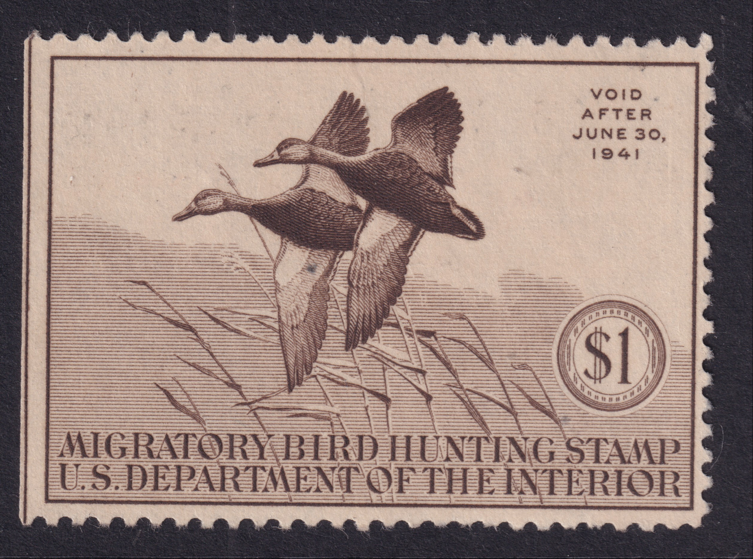 Stamp Picture