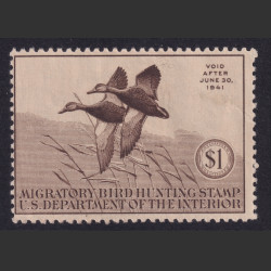 Picture of Lot #55101