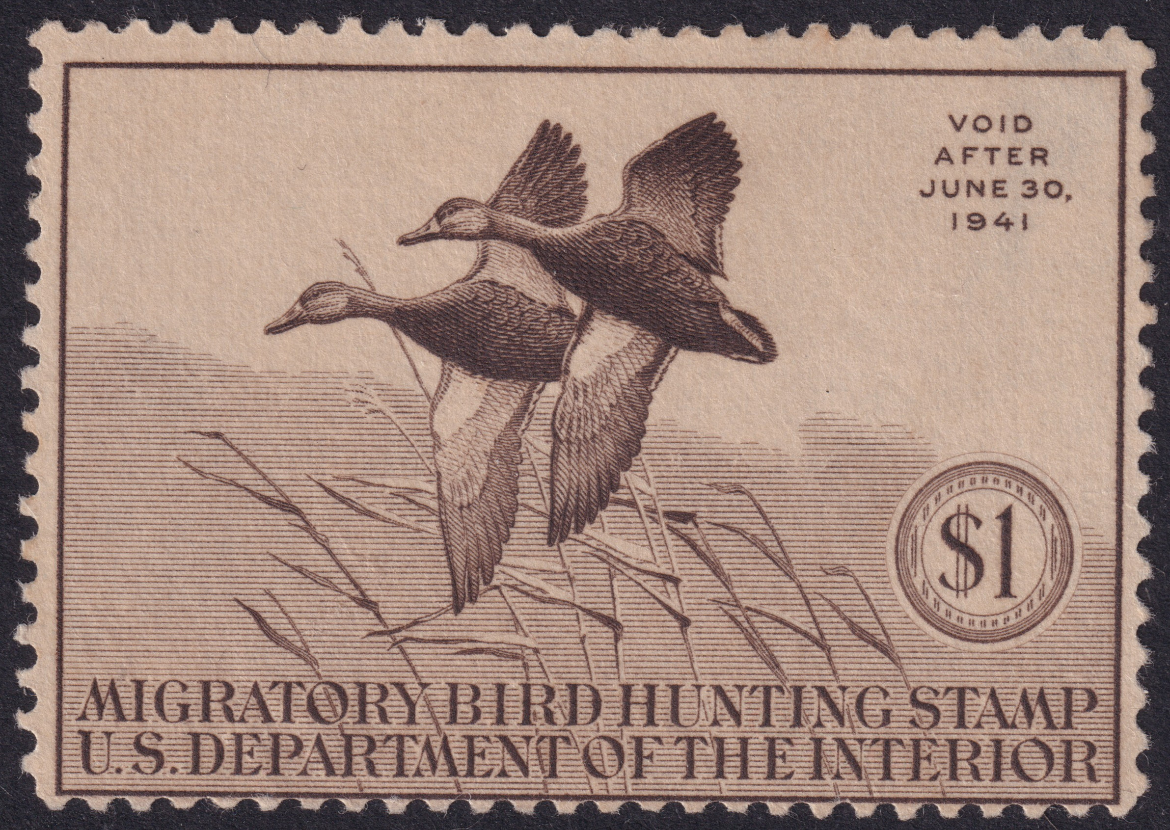 Stamp Picture