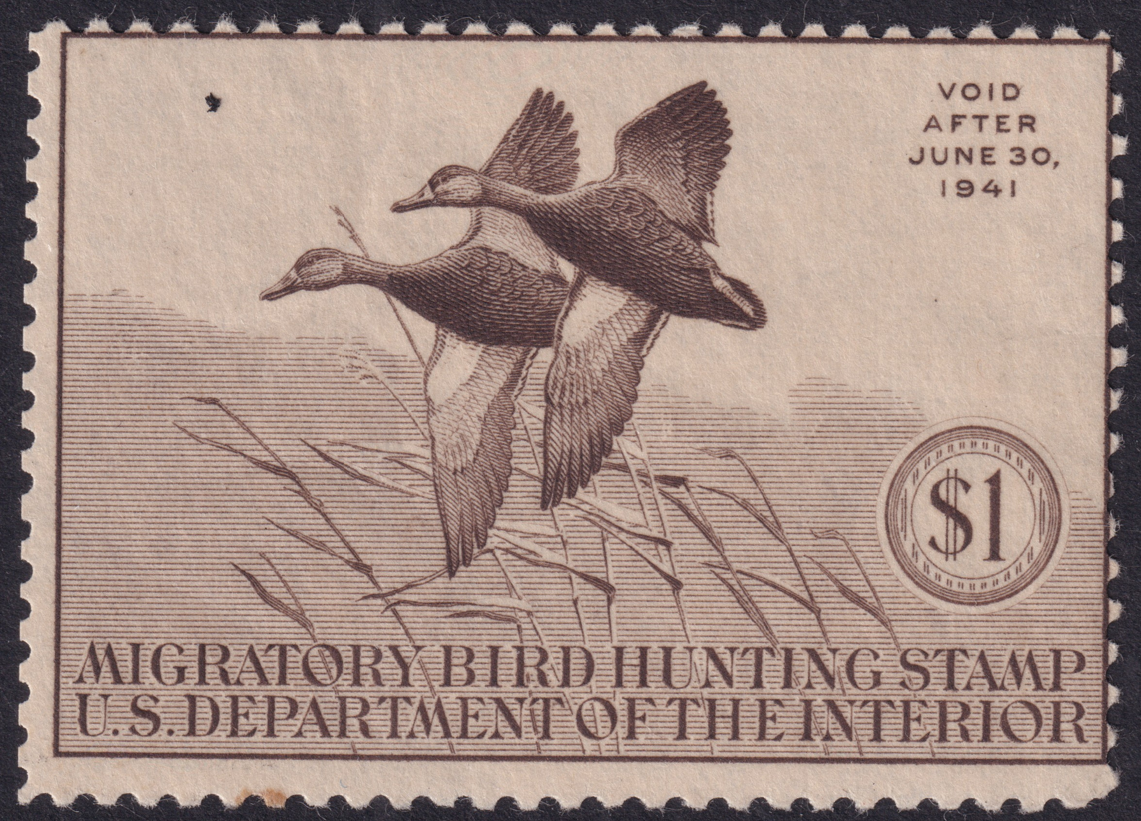 Stamp Picture