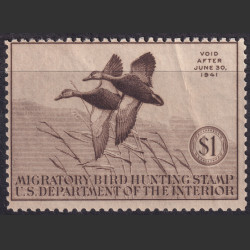 Picture of Lot #55107