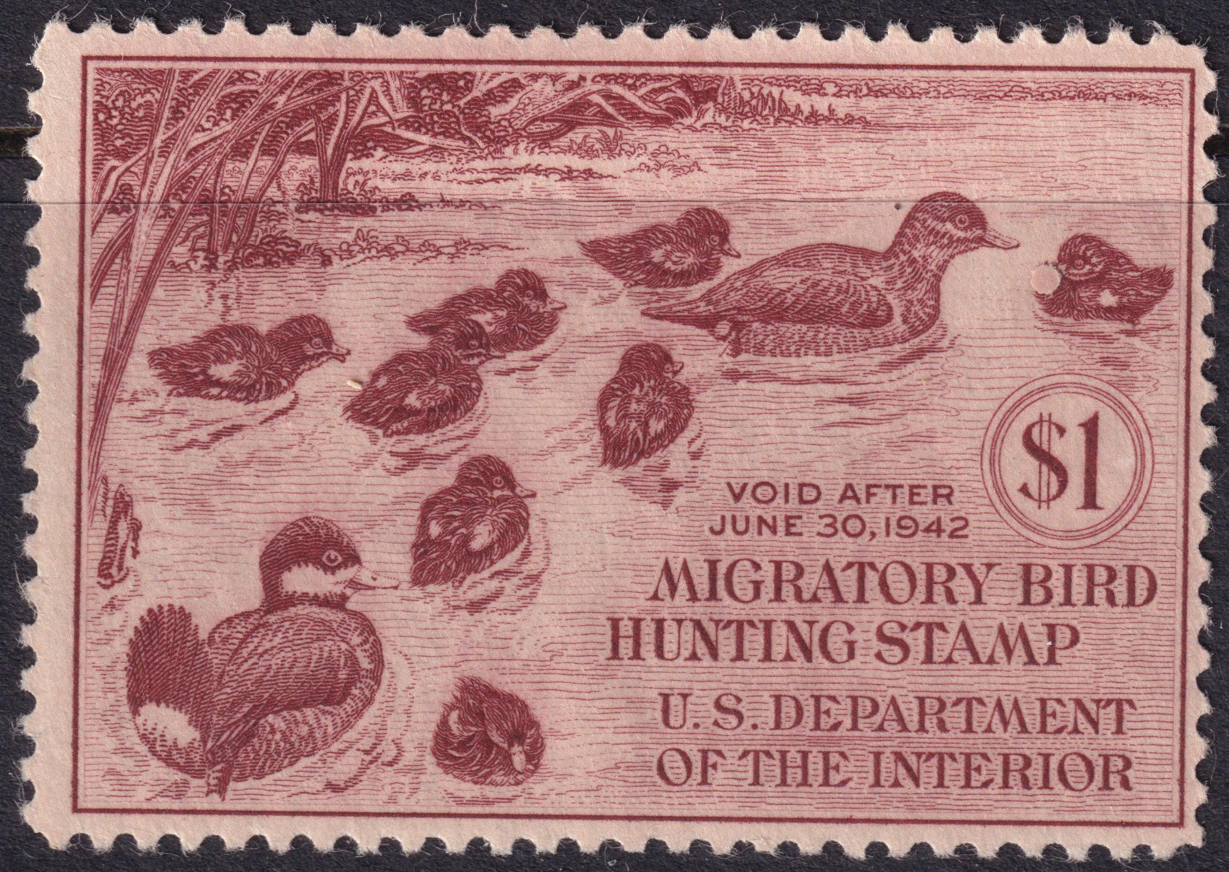Stamp Picture