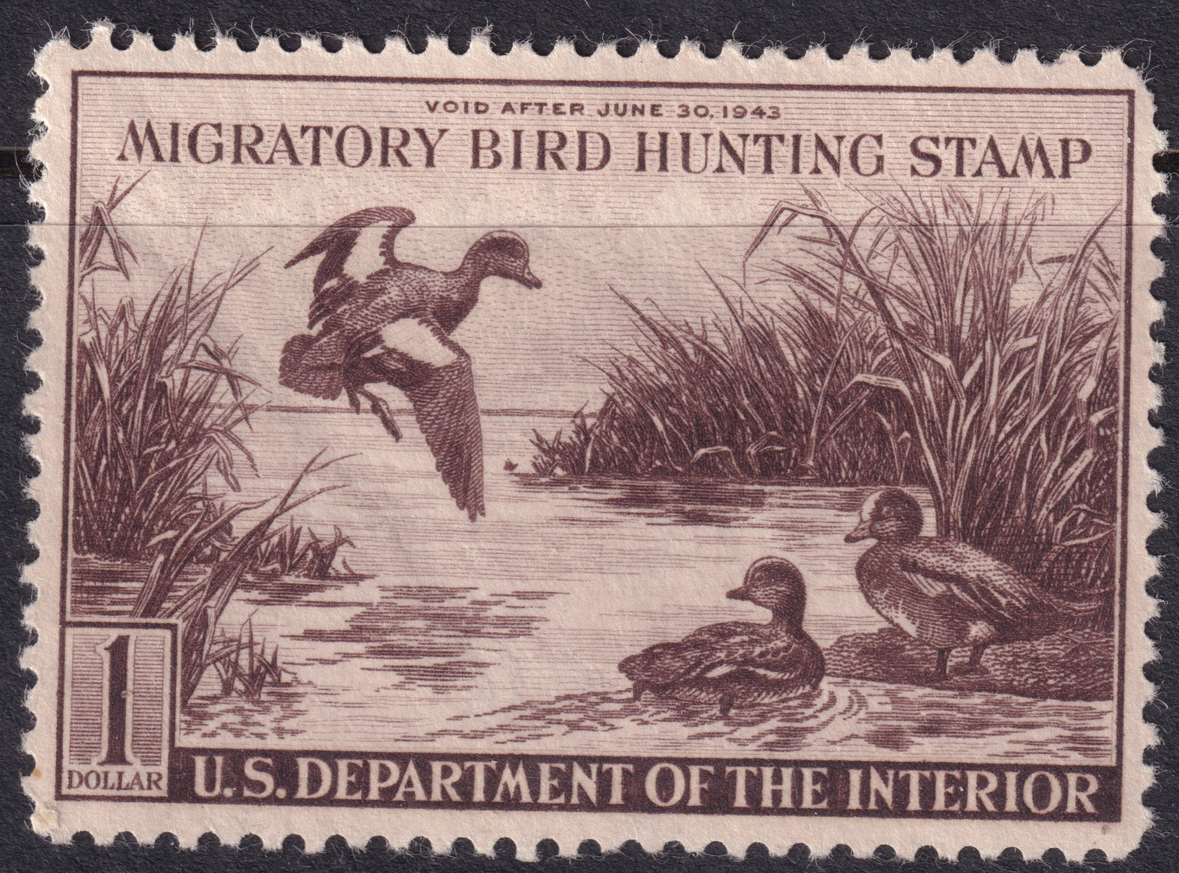 Stamp Picture