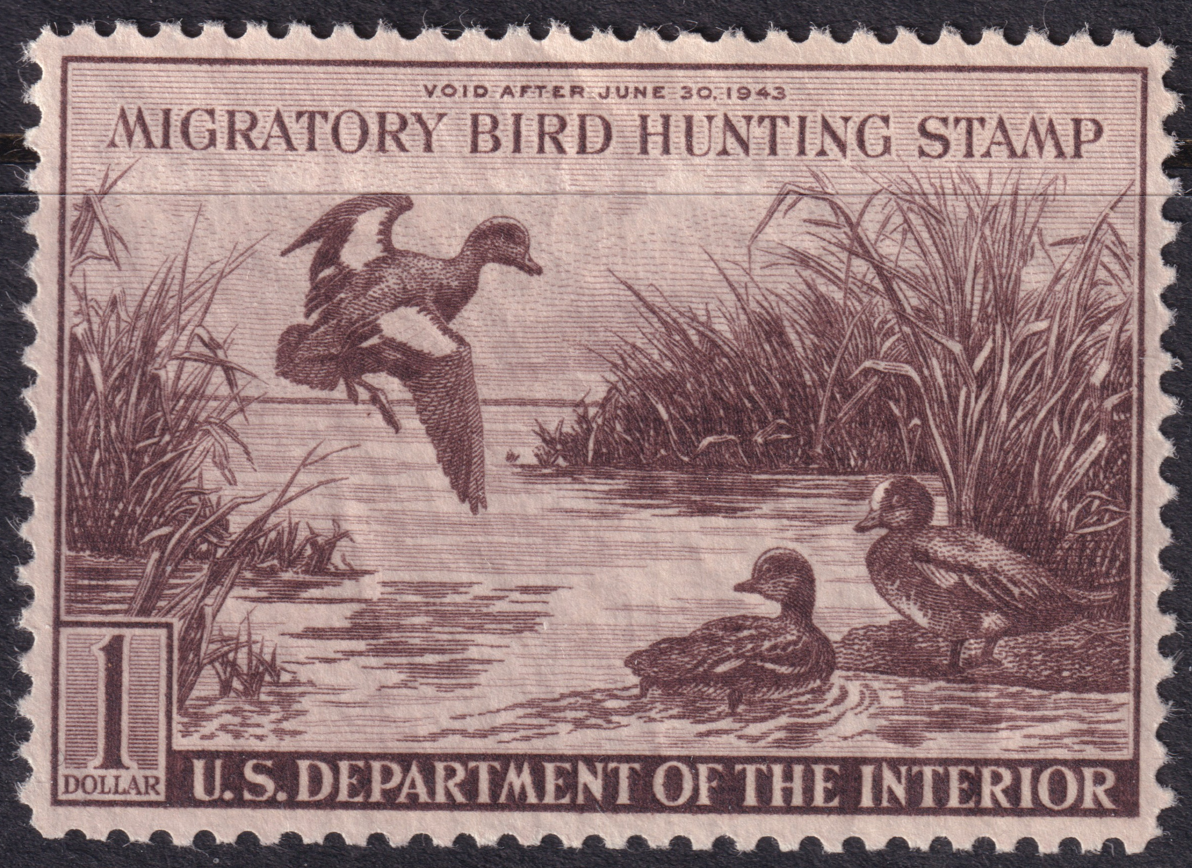 Stamp Picture