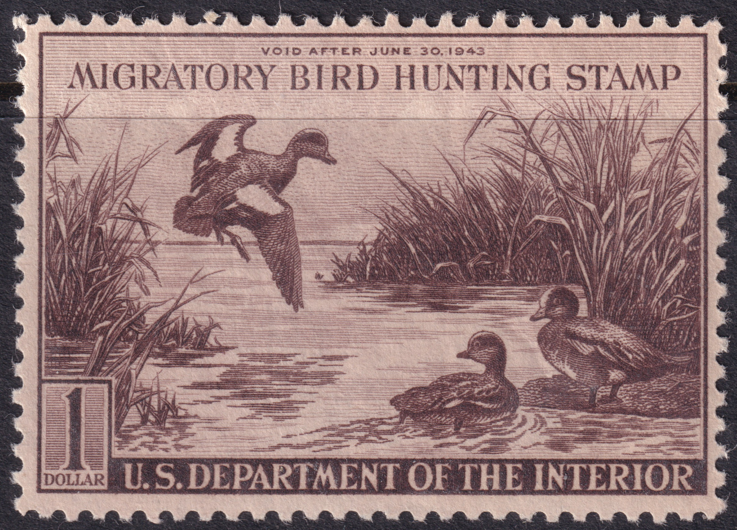 Stamp Picture