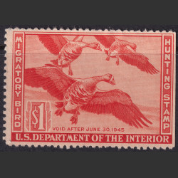 Picture of Lot #55116