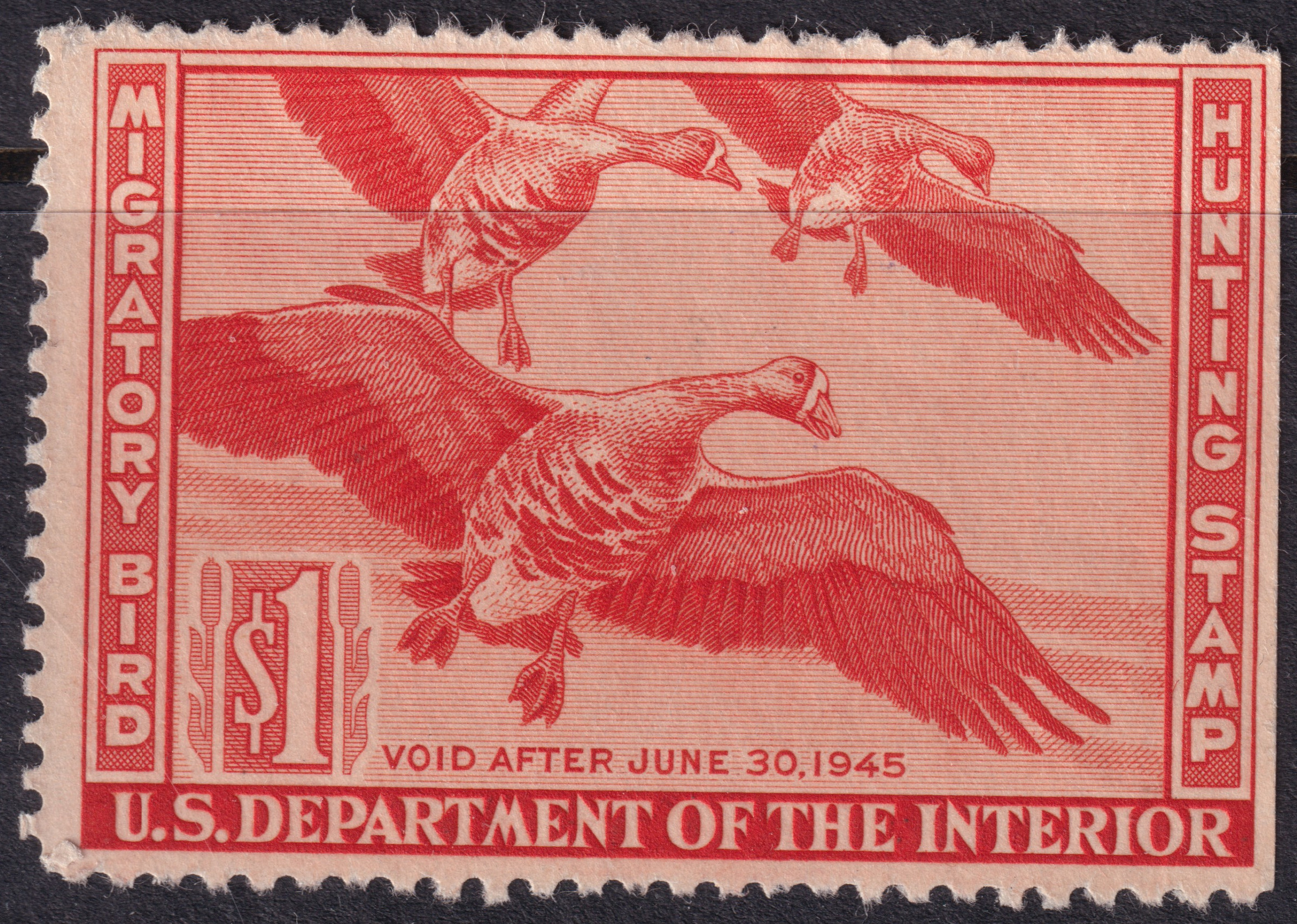 Stamp Picture