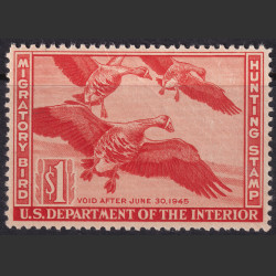 Picture of Lot #55117