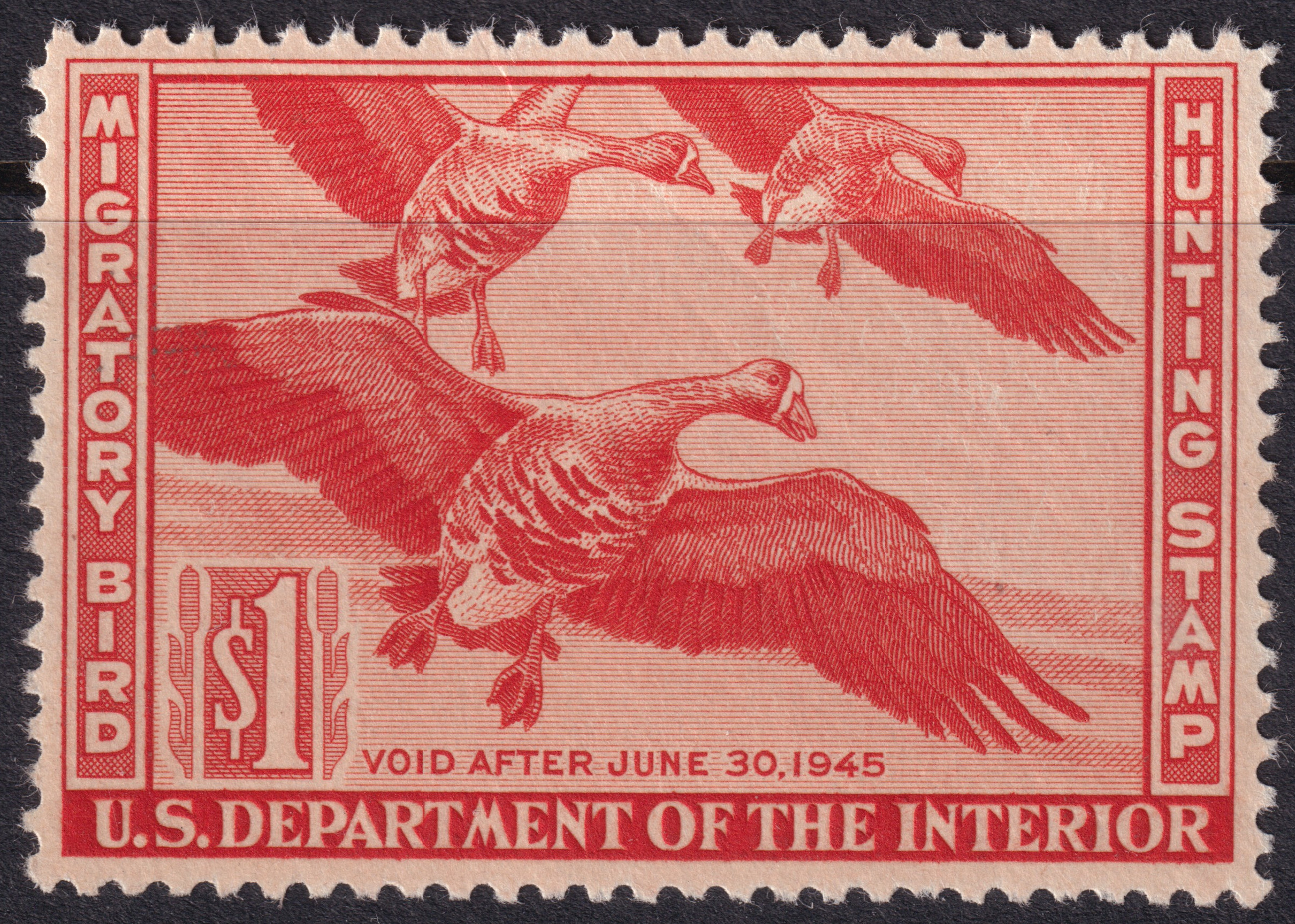 Stamp Picture