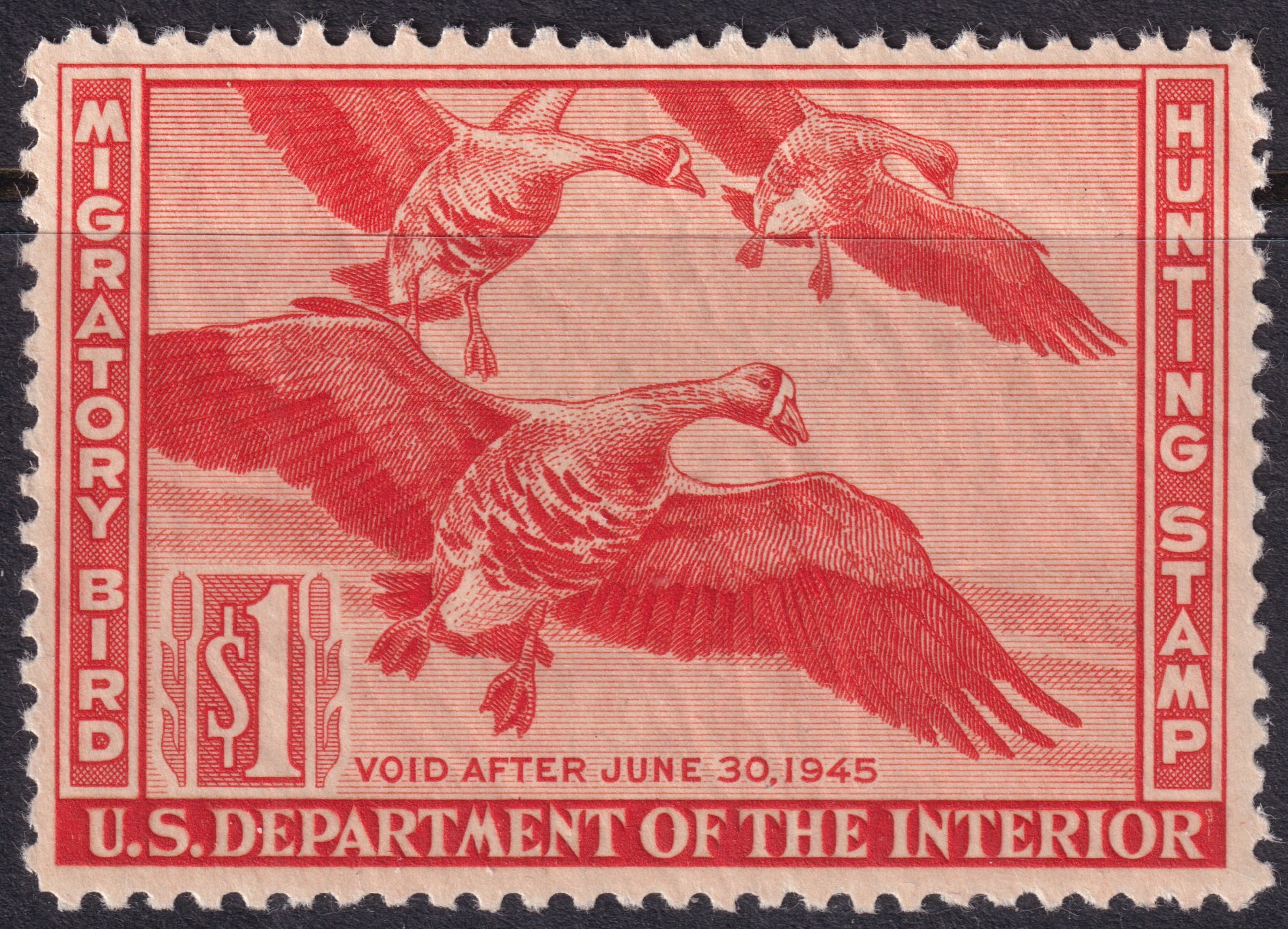 Stamp Picture