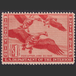 Picture of Lot #55119