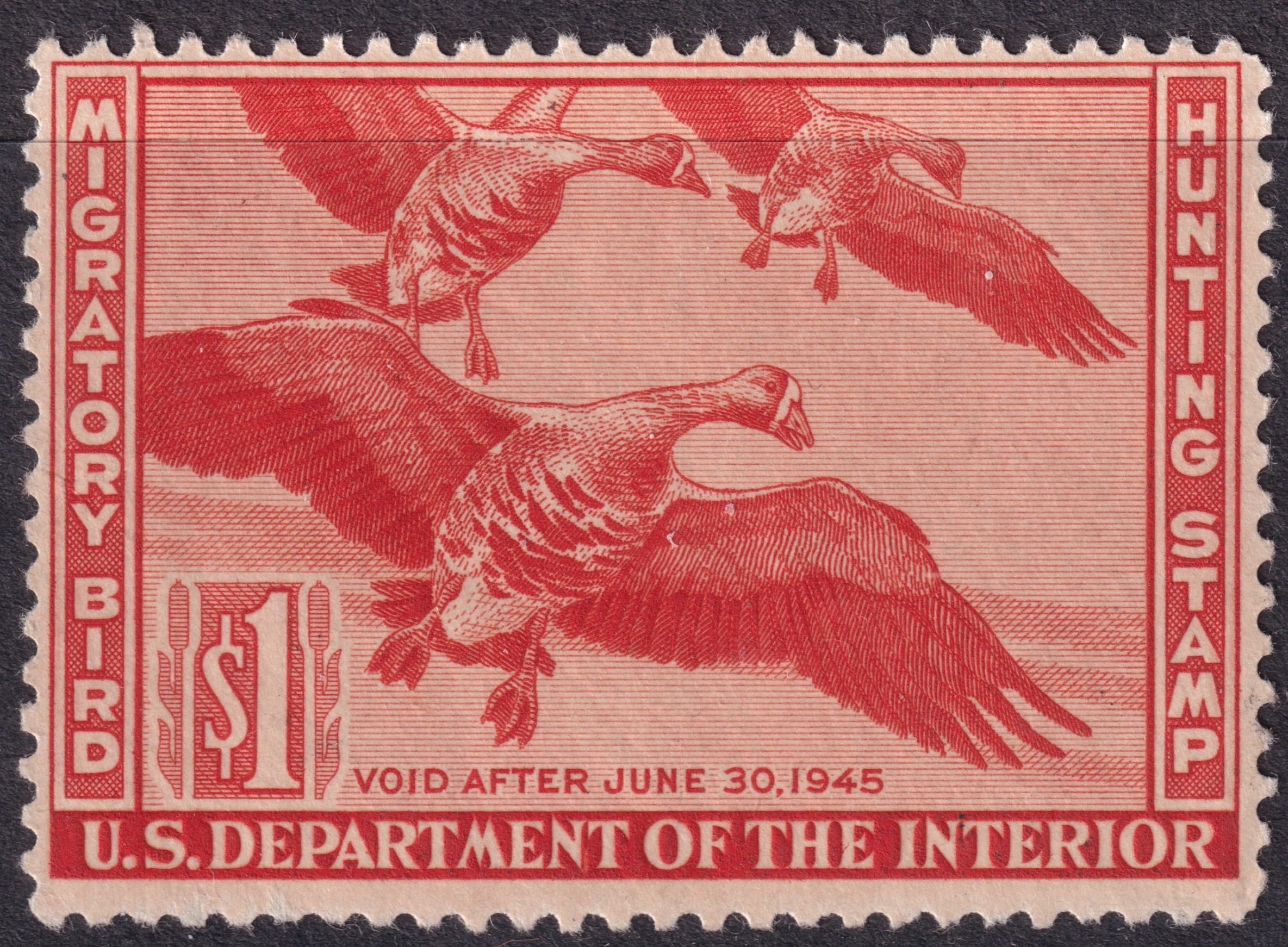 Stamp Picture