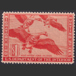 Picture of Lot #55120