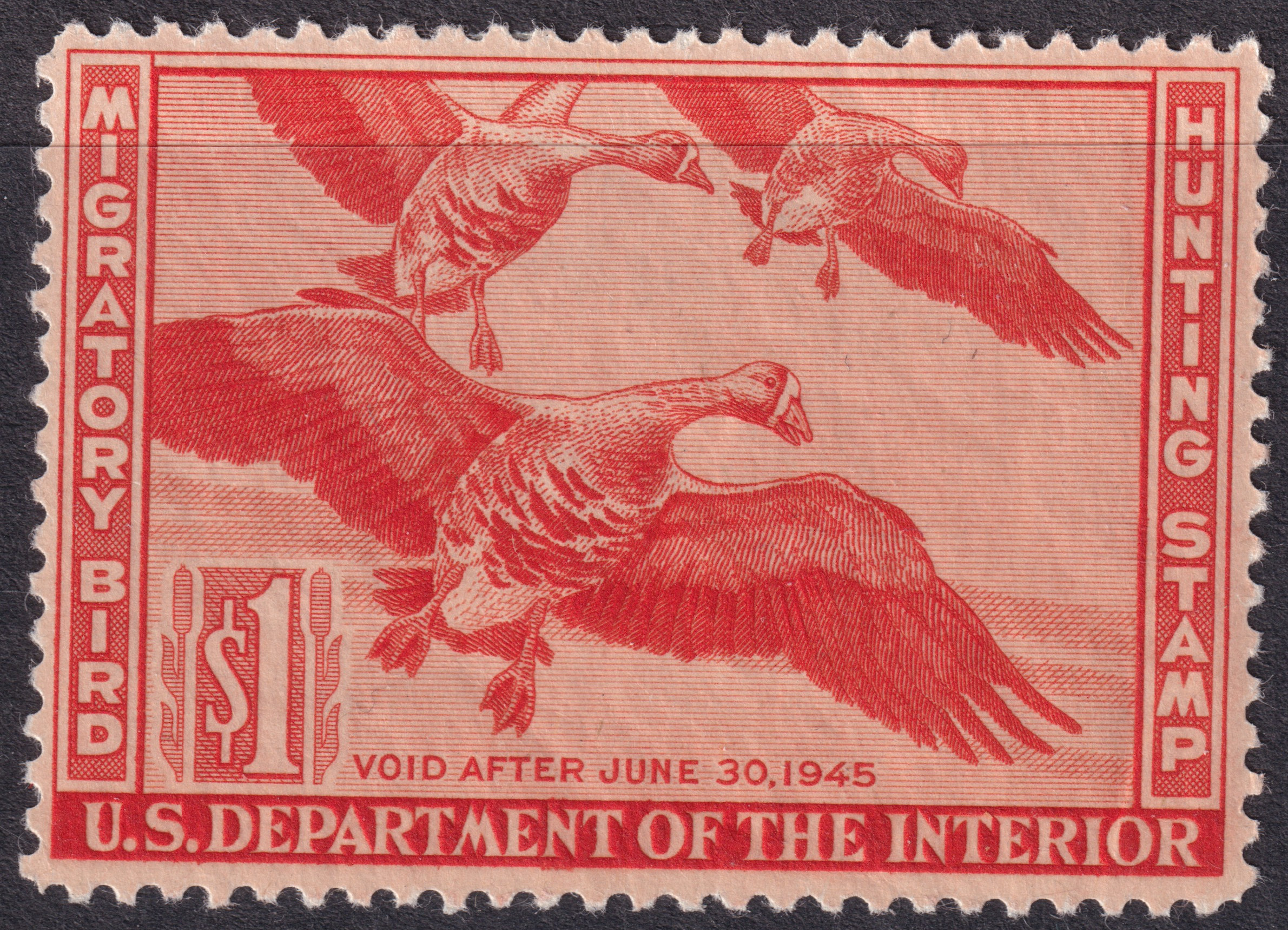 Stamp Picture