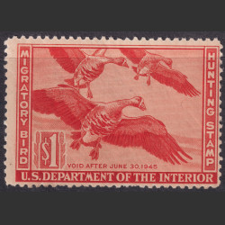 Picture of Lot #55121