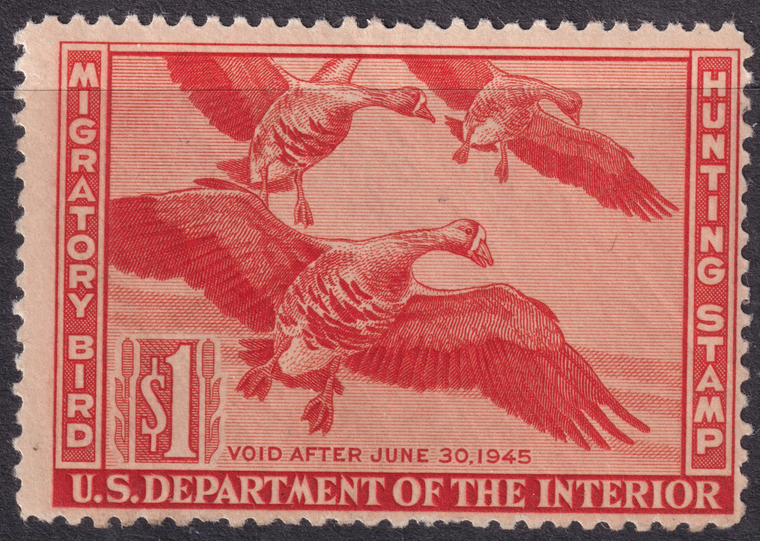 Stamp Picture