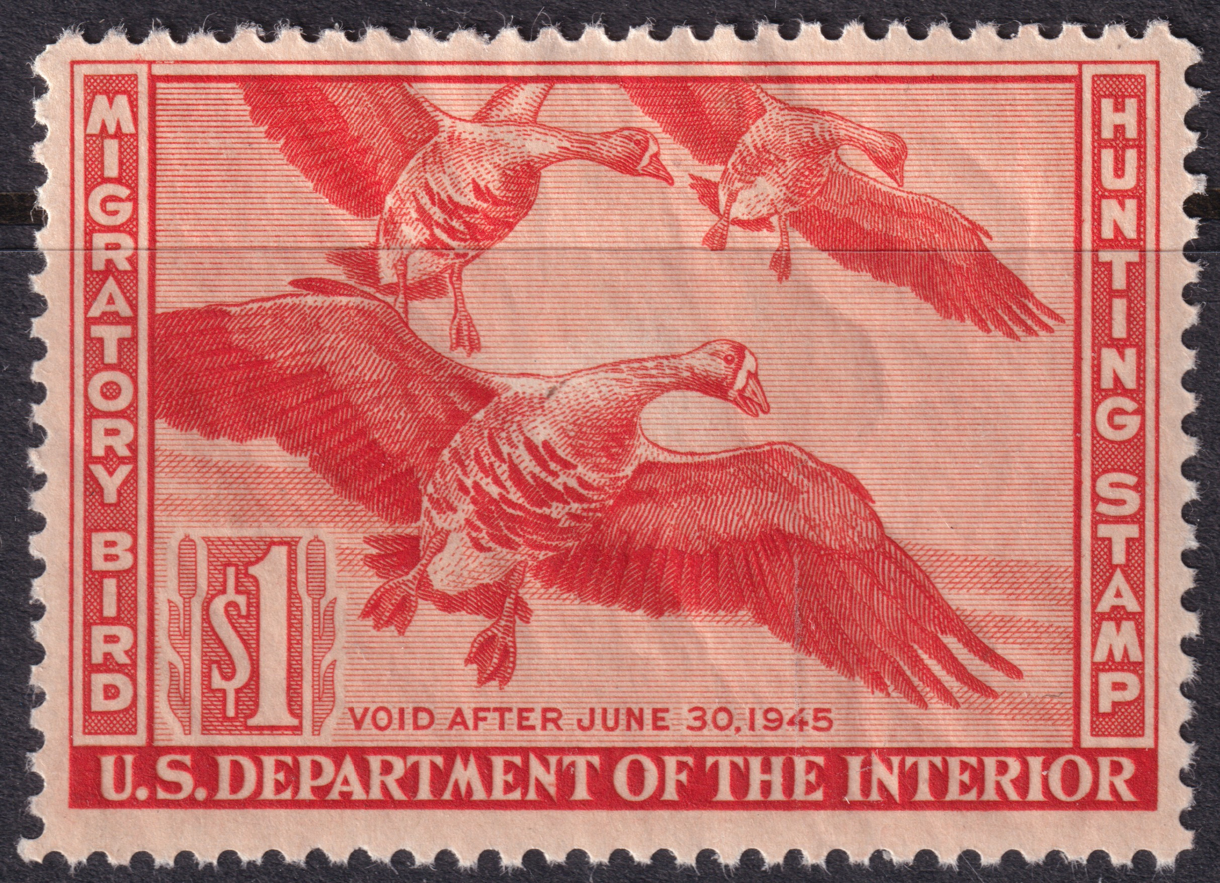 Stamp Picture