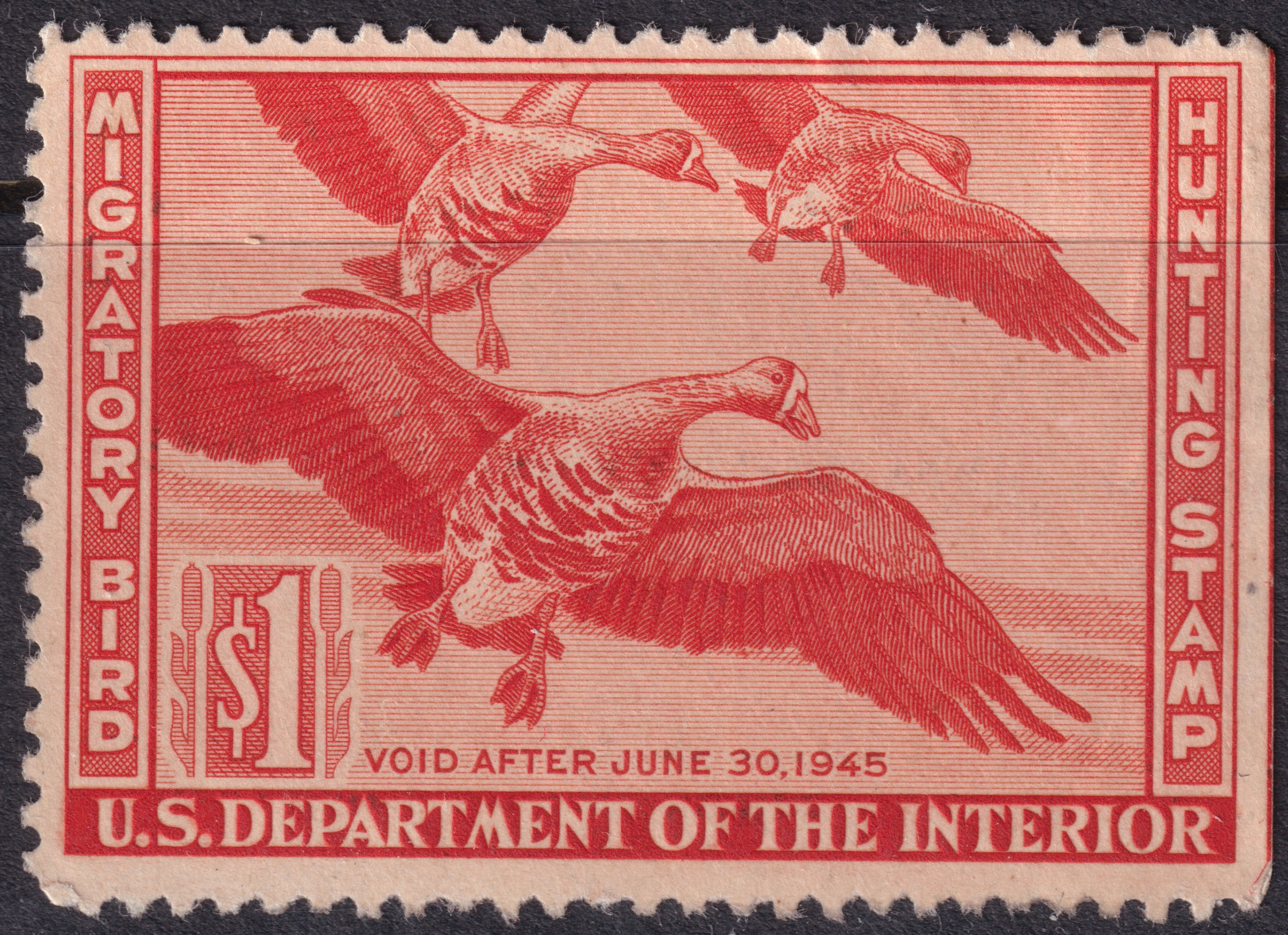 Stamp Picture
