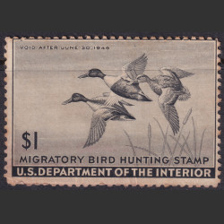 Picture of Lot #55124