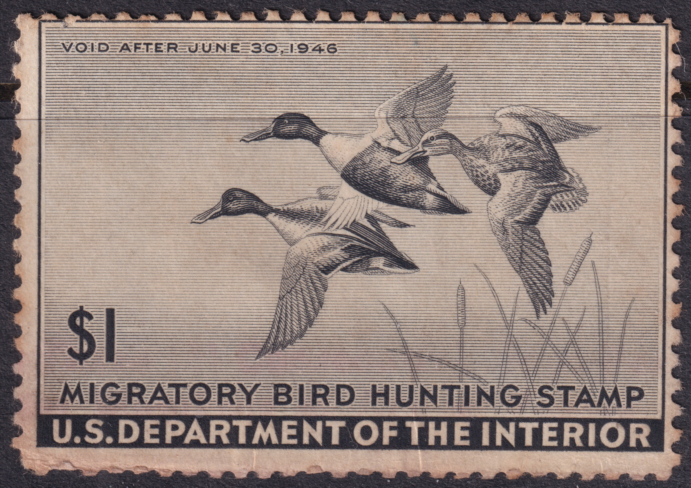 Stamp Picture