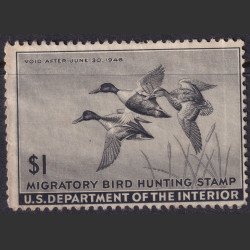 Picture of Lot #55125