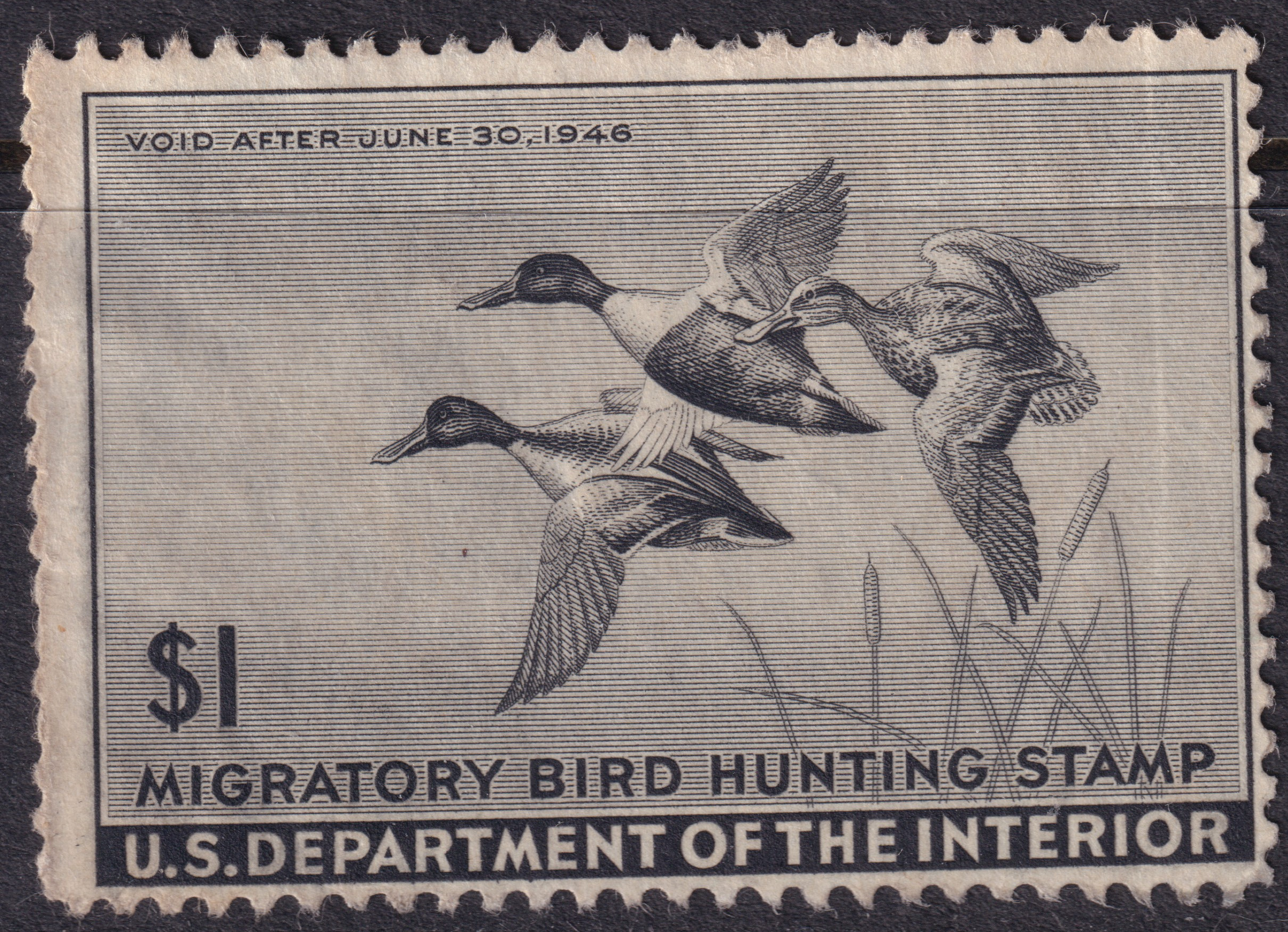 Stamp Picture