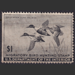 Picture of Lot #55126