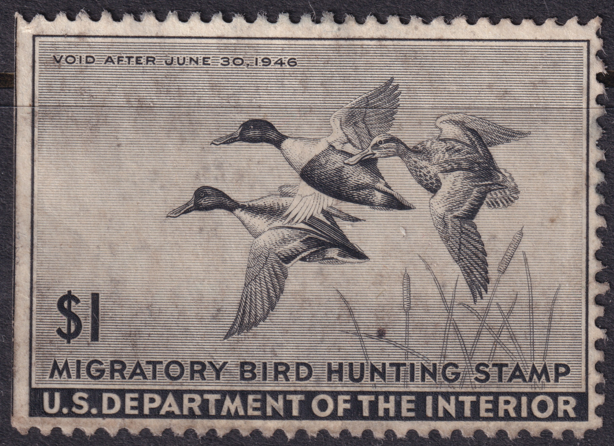 Stamp Picture