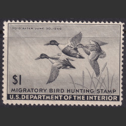 Picture of Lot #55127