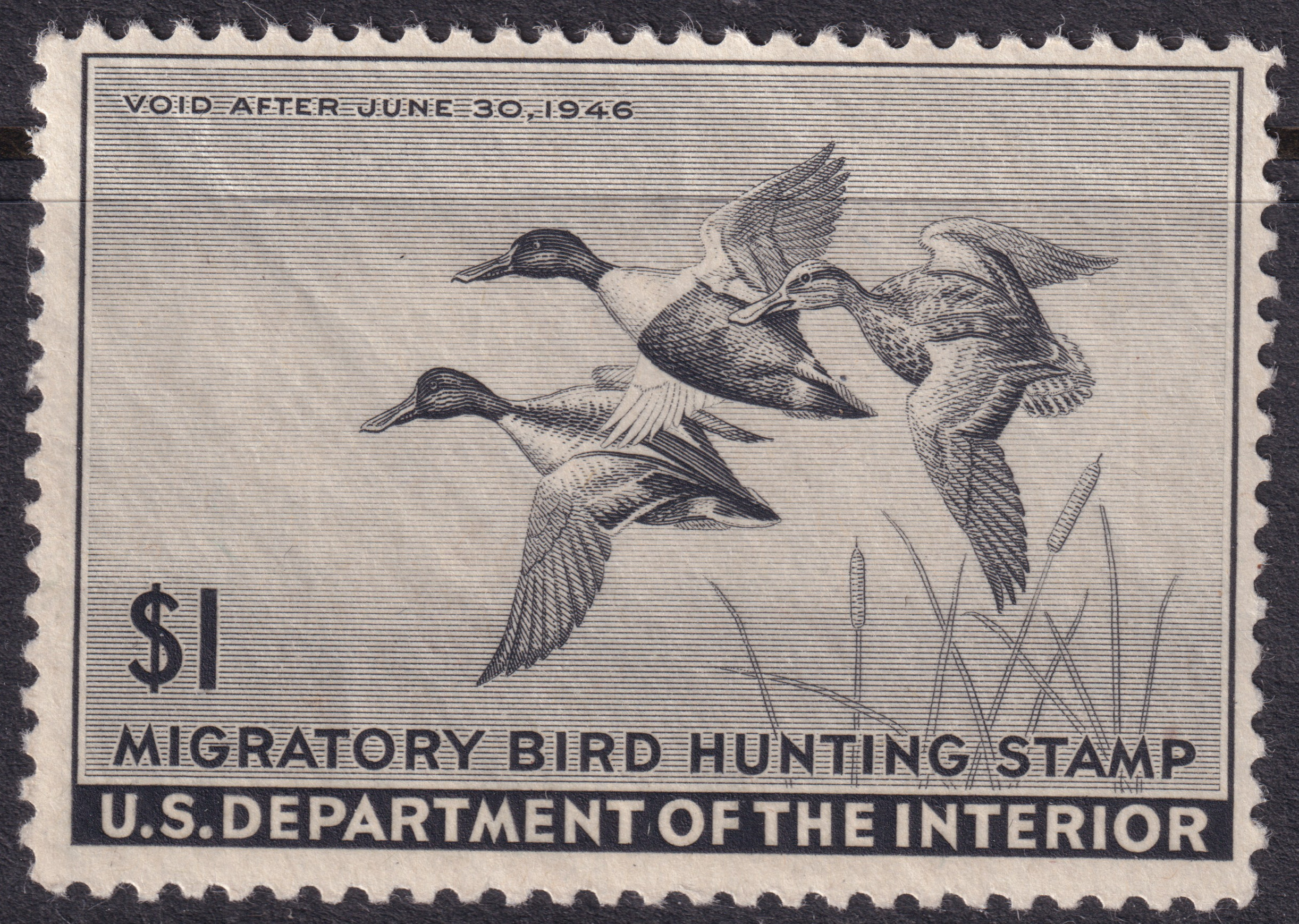 Stamp Picture