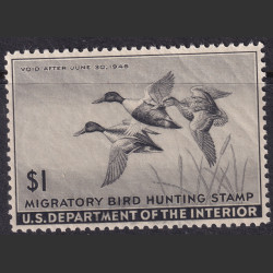 Picture of Lot #55128