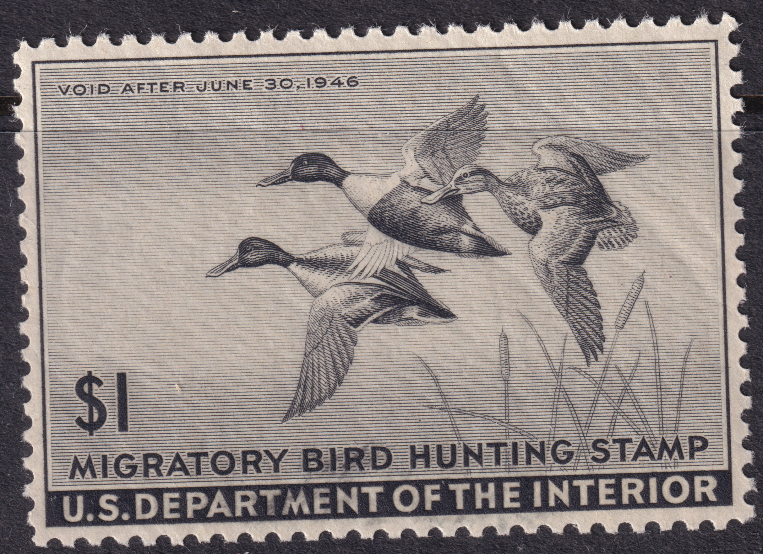Stamp Picture