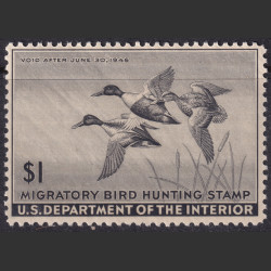 Picture of Lot #55129