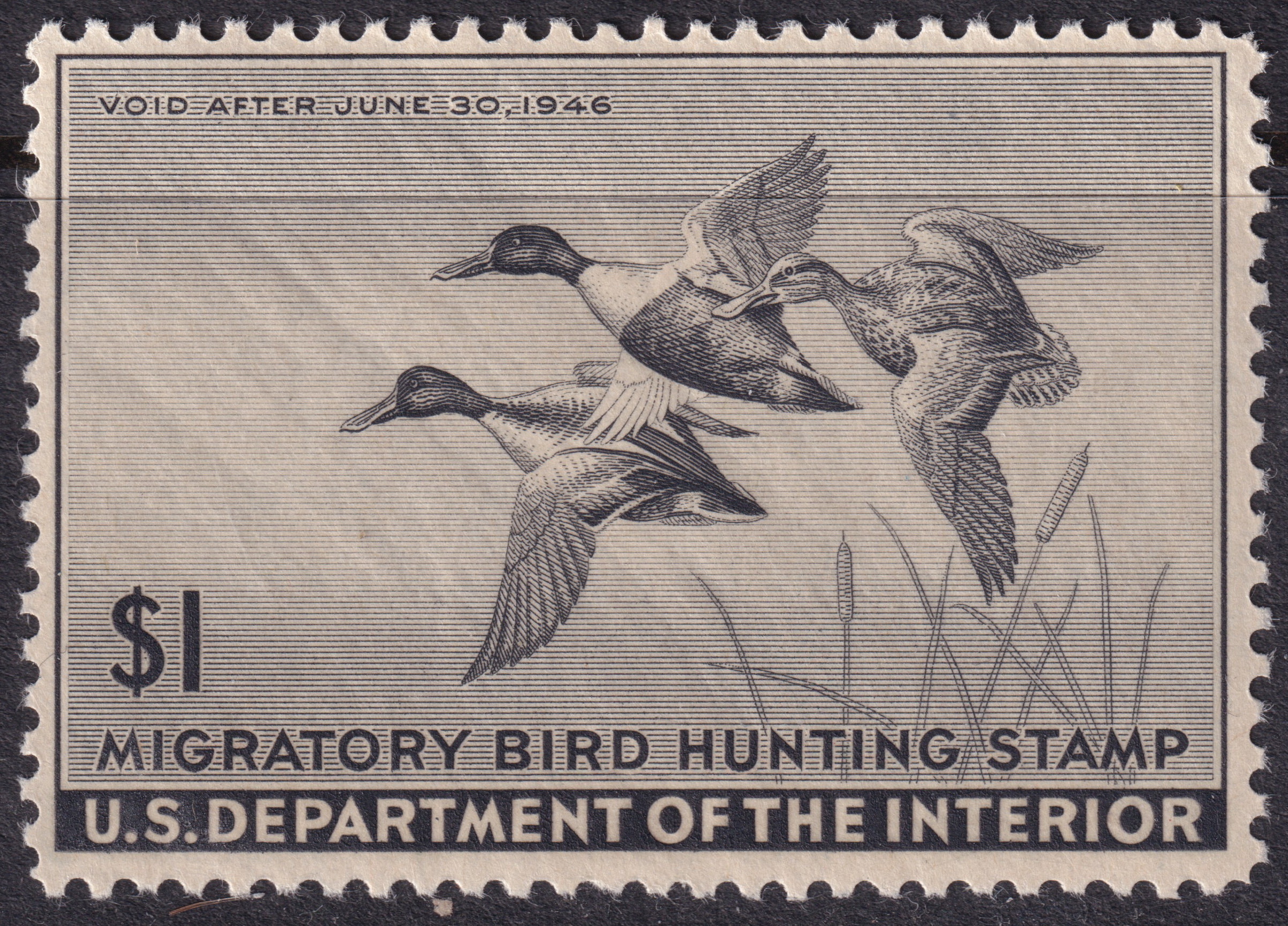 Stamp Picture