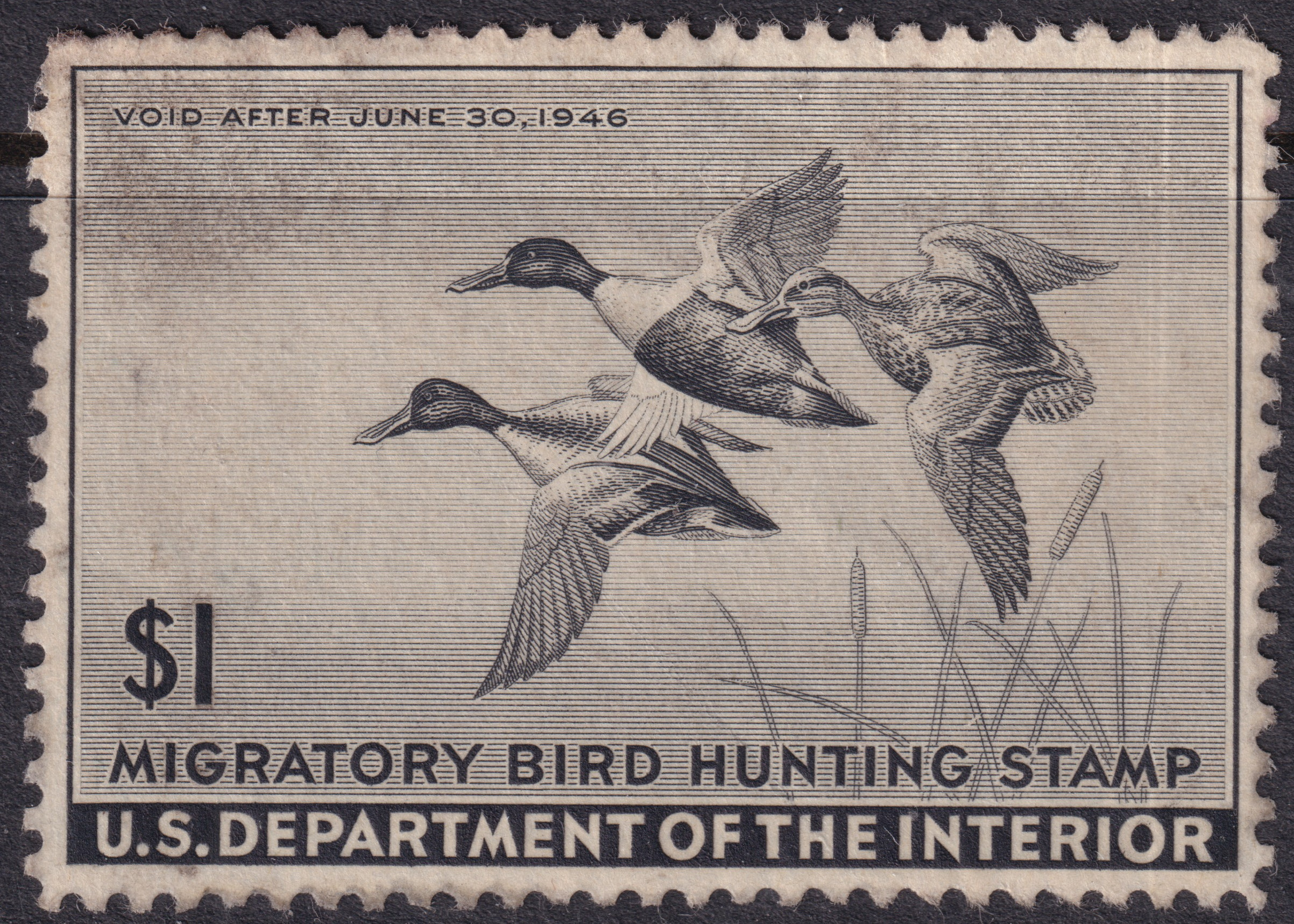 Stamp Picture