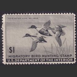 Picture of Lot #55131