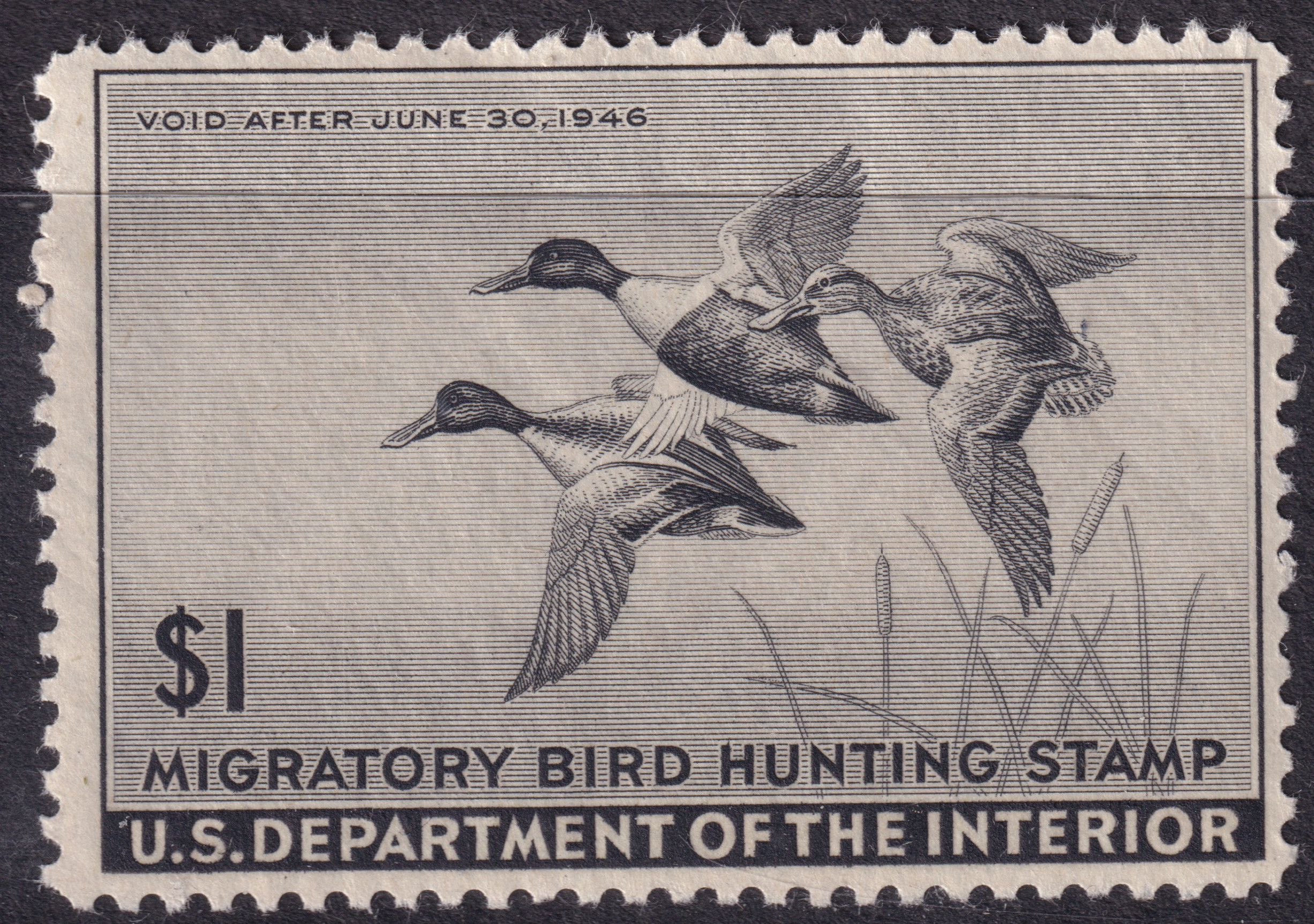 Stamp Picture