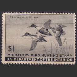 Picture of Lot #55132