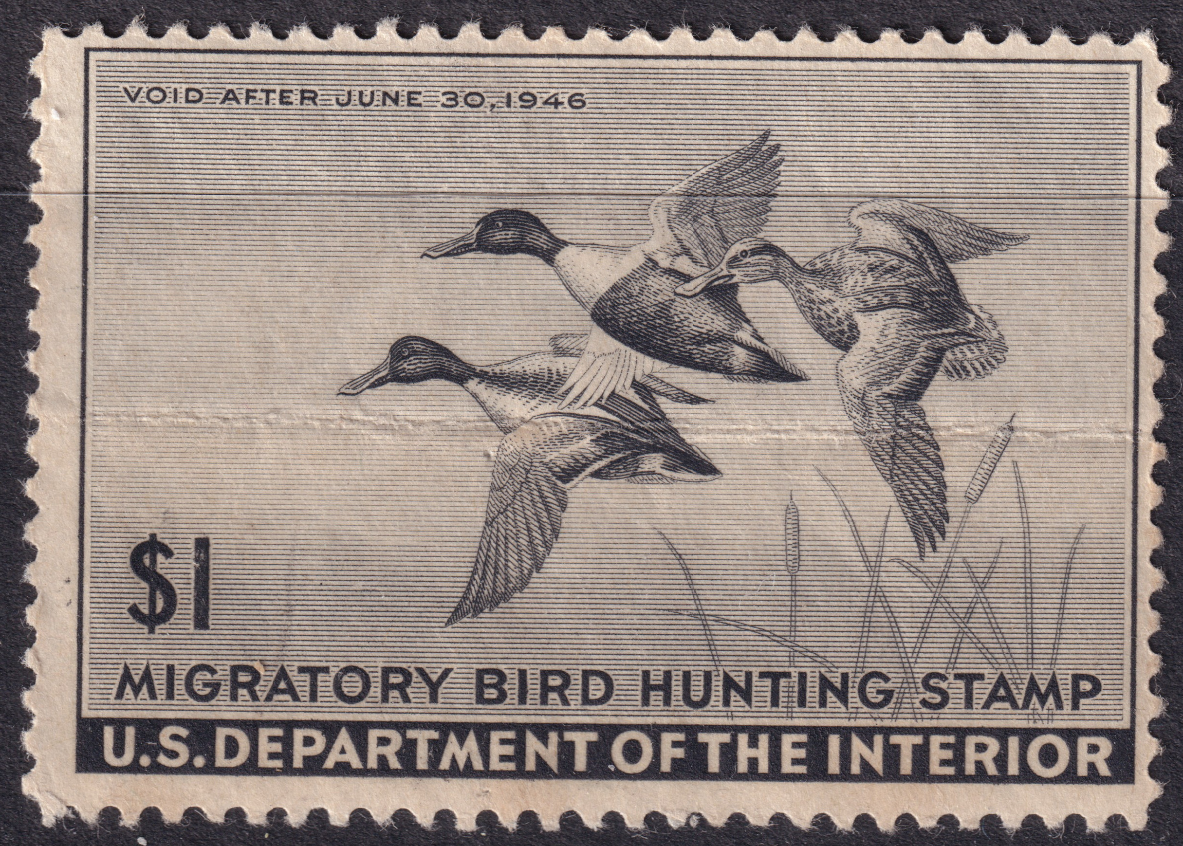 Stamp Picture