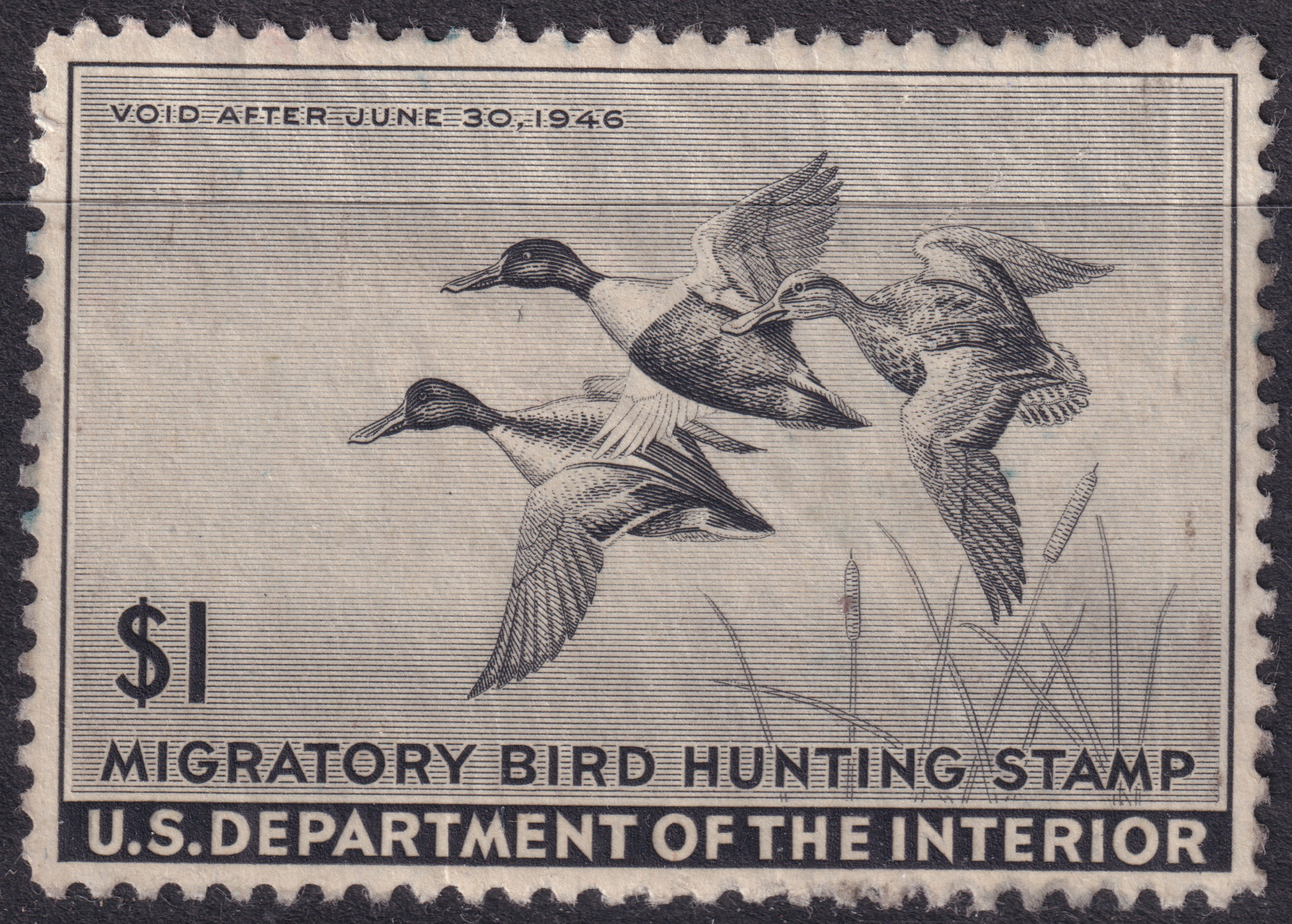 Stamp Picture