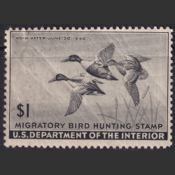 Picture of Lot #55134