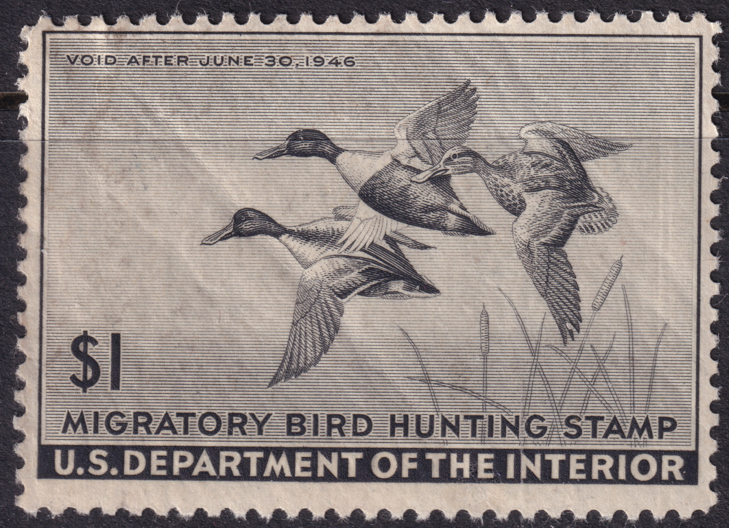 Stamp Picture