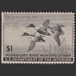 Picture of Lot #55135