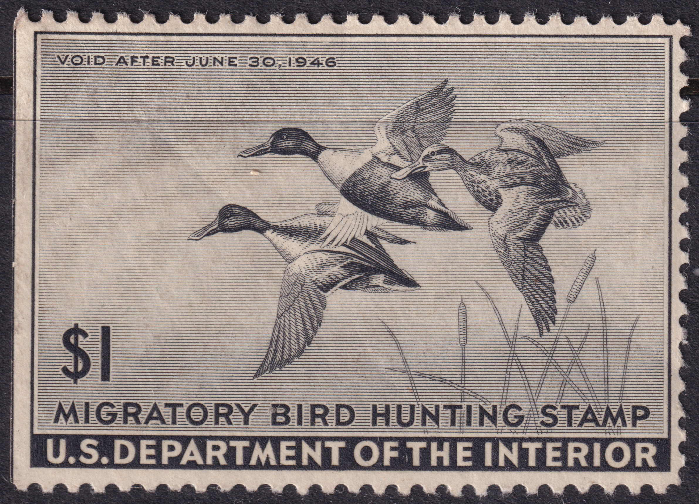 Stamp Picture